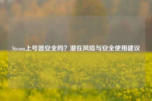 Steam上号器安全吗?潜在风险与安全使用建议