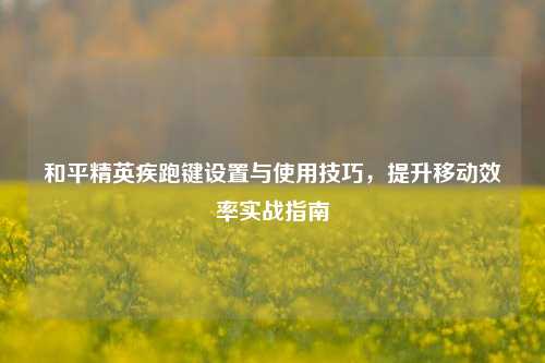 和平精英疾跑键设置与使用技巧,提升移动效率实战指南