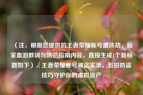 (注,根据您提供的王者荣耀账号遭洗劫,玩家血泪教训与防范指南内容,直接生成1个新标题如下),王者荣耀账号被盗实录,五招防盗技巧守护你的虚拟资产