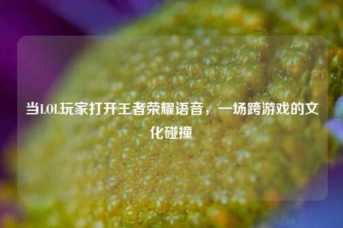 当LOL玩家打开王者荣耀语音,一场跨游戏的文化碰撞