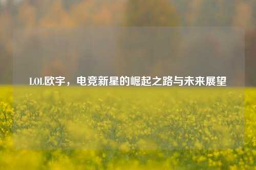 LOL欧宇,电竞新星的崛起之路与未来展望