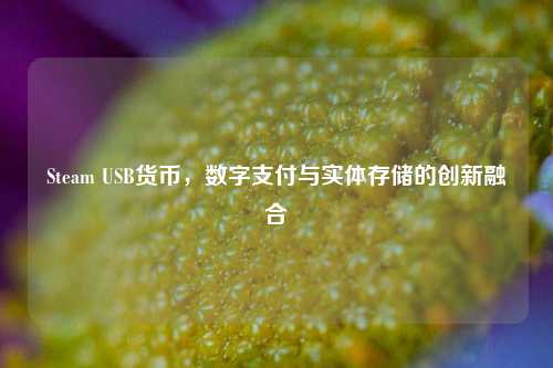 Steam USB货币,数字支付与实体存储的创新融合