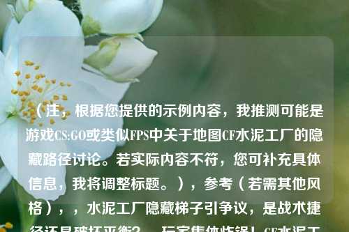 (注,根据您提供的示例内容,我推测可能是游戏CS:GO或类似FPS中关于地图CF水泥工厂的隐藏路径讨论。若实际内容不符,您可补充具体信息,我将调整标题。),参考(若需其他风格),,水泥工厂隐藏梯子引争议,是战术捷径还是破坏平衡?,玩家集体炸锅!CF水泥工厂BUG梯子竟能直通敌方腹地,职业选手都不敢用的阴间点位?水泥工厂空中梯子全解析