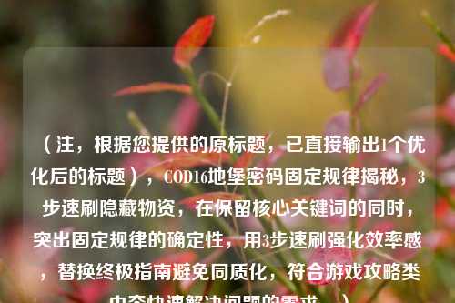 (注,根据您提供的原标题,已直接输出1个优化后的标题),COD16地堡密码固定规律揭秘,3步速刷隐藏物资,在保留核心关键词的同时,突出固定规律的确定性,用3步速刷强化效率感,替换终极指南避免同质化,符合游戏攻略类内容快速解决问题的需求。)