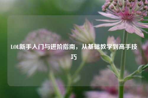 LOL新手入门与进阶指南,从基础教学到高手技巧
