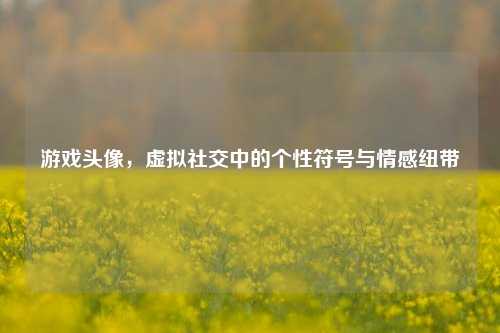 游戏头像,虚拟社交中的个性符号与情感纽带