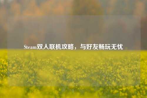 Steam双人联机攻略,与好友畅玩无忧