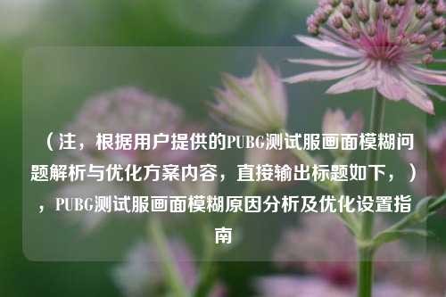 (注,根据用户提供的PUBG测试服画面模糊问题解析与优化方案内容,直接输出标题如下,),PUBG测试服画面模糊原因分析及优化设置指南