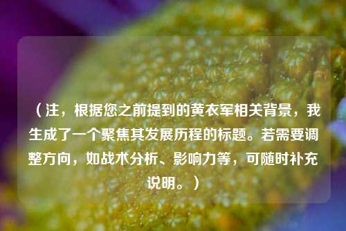 (注,根据您之前提到的黄衣军相关背景,我生成了一个聚焦其发展历程的标题。若需要调整方向,如战术分析、影响力等,可随时补充说明。)