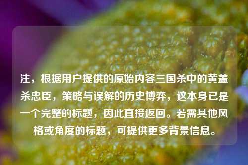 注,根据用户提供的原始内容三国杀中的黄盖杀忠臣,策略与误解的历史博弈,这本身已是一个完整的标题,因此直接返回。若需其他风格或角度的标题,可提供更多背景信息。