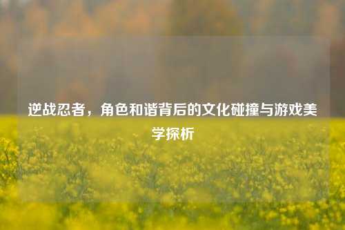 逆战忍者,角色和谐背后的文化碰撞与游戏美学探析