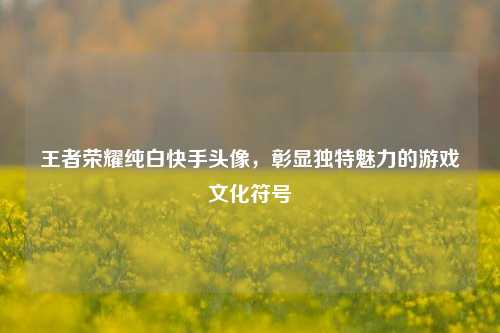 王者荣耀纯白快手头像,彰显独特魅力的游戏文化符号
