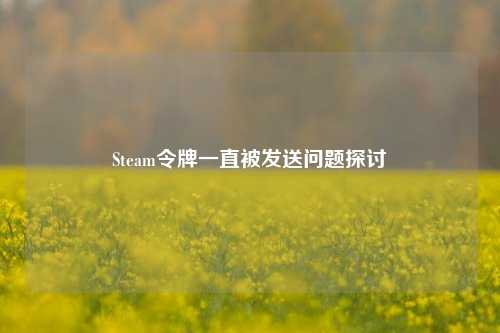 Steam令牌一直被发送问题探讨