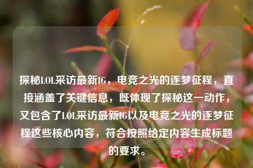 探秘LOL采访最新IG,电竞之光的逐梦征程,直接涵盖了关键信息,既体现了探秘这一动作,又包含了LOL采访最新IG以及电竞之光的逐梦征程这些核心内容,符合按照给定内容生成标题的要求。
