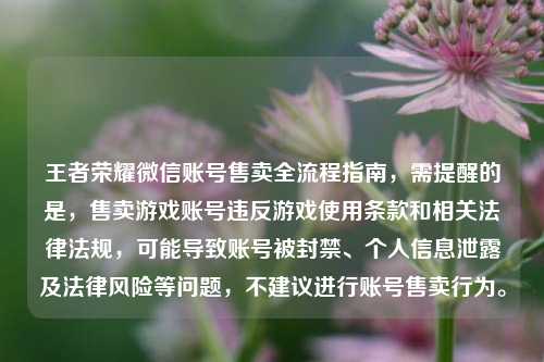 王者荣耀微信账号售卖全流程指南,需提醒的是,售卖游戏账号违反游戏使用条款和相关法律法规,可能导致账号被封禁、个人信息泄露及法律风险等问题,不建议进行账号售卖行为。