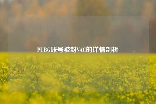 PUBG账号被封VAC的详情剖析