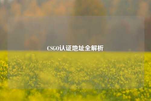 CSGO认证地址全解析