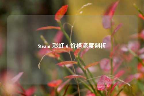 Steam 彩虹 6 价格深度剖析