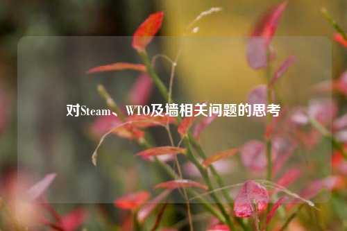 对Steam、WTO及墙相关问题的思考