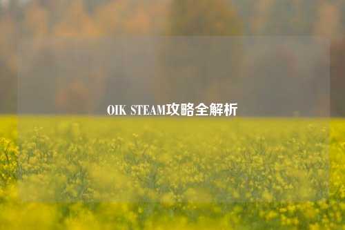 OIK STEAM攻略全解析
