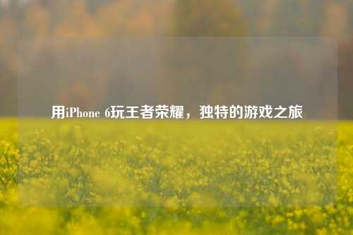 用iPhone 6玩王者荣耀,独特的游戏之旅