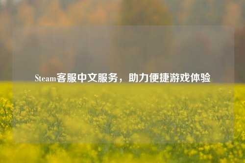 Steam 中文服务,助力便捷游戏体验