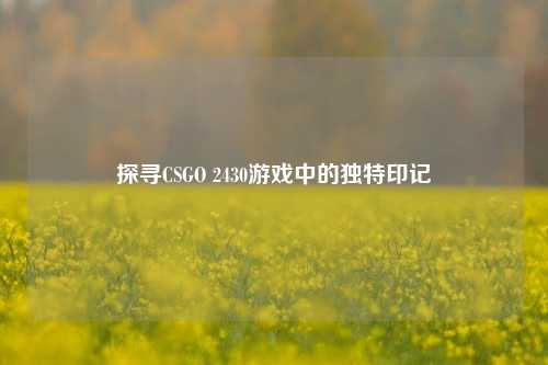 探寻CSGO 2430游戏中的独特印记