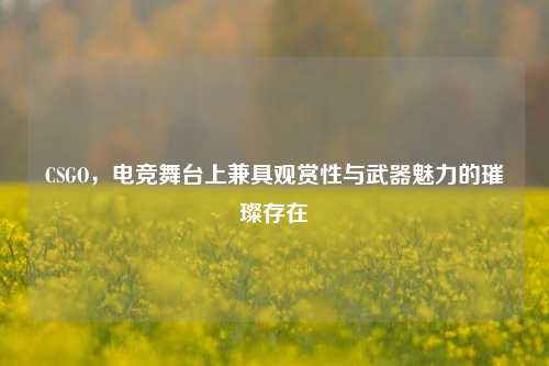 CSGO,电竞舞台上兼具观赏性与武器魅力的璀璨存在