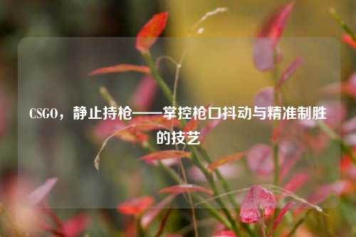 CSGO,静止持枪——掌控枪口抖动与精准制胜的技艺