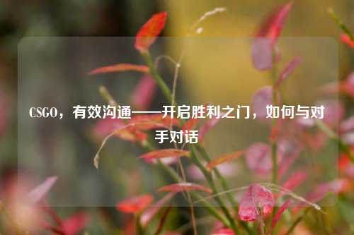 CSGO,有效沟通——开启胜利之门,如何与对手对话