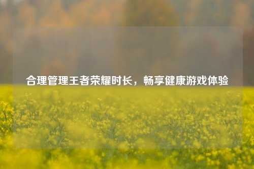 合理管理王者荣耀时长,畅享健康游戏体验