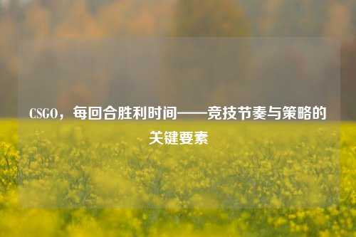 CSGO,每回合胜利时间——竞技节奏与策略的关键要素