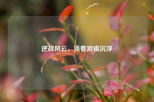 逆战风云,淡看游戏沉浮