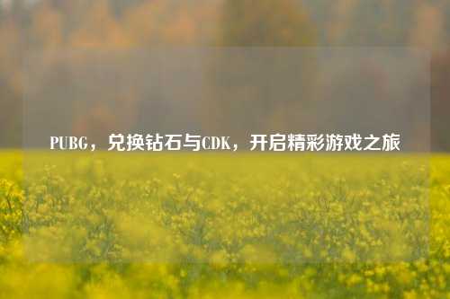 PUBG,兑换钻石与CDK,开启精彩游戏之旅