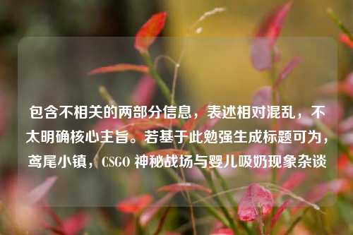包含不相关的两部分信息,表述相对混乱,不太明确核心主旨。若基于此勉强生成标题可为,鸢尾小镇,CSGO 神秘战场与婴儿吸奶现象杂谈
