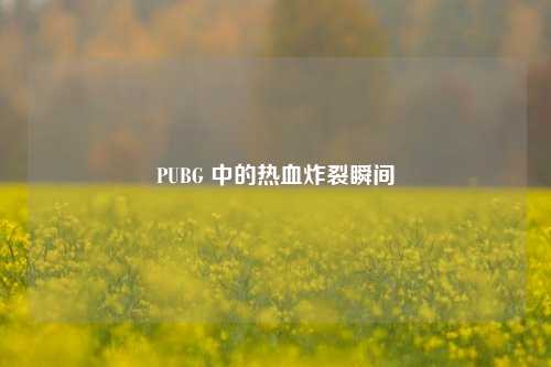 PUBG 中的热血炸裂瞬间
