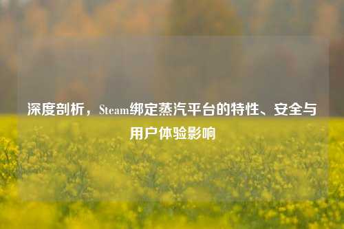 深度剖析,Steam绑定蒸汽平台的特性、安全与用户体验影响