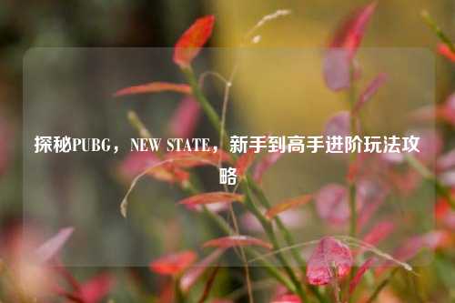 探秘PUBG,NEW STATE,新手到高手进阶玩法攻略