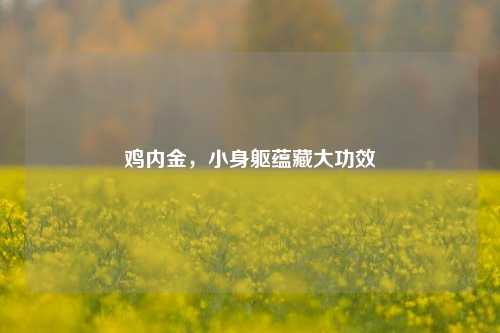 鸡内金,小身躯蕴藏大功效