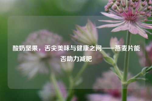 酸奶坚果,舌尖美味与健康之问——燕麦片能否助力减肥