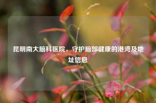 昆明南大脑科医院,守护脑部健康的港湾及地址信息