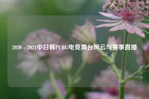 2020 - 2021中日韩PUBG电竞舞台风云与赛事直播