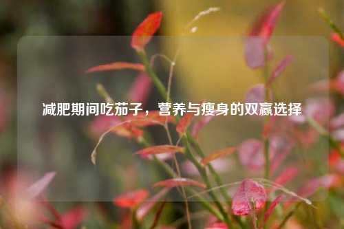 减肥期间吃茄子,营养与瘦身的双赢选择
