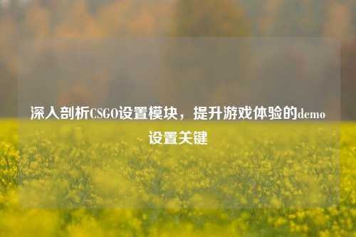 深入剖析CSGO设置模块,提升游戏体验的demo设置关键