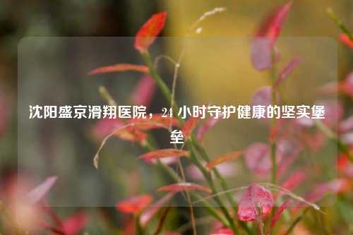 沈阳盛京滑翔医院,24 小时守护健康的坚实堡垒