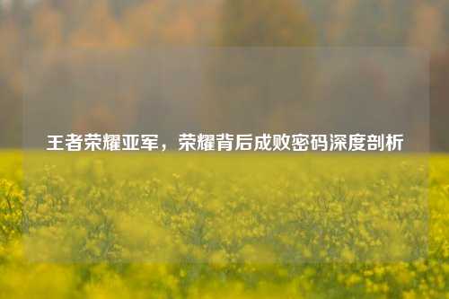 王者荣耀亚军,荣耀背后成败密码深度剖析