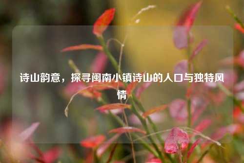 诗山韵意,探寻闽南小镇诗山的人口与独特风情
