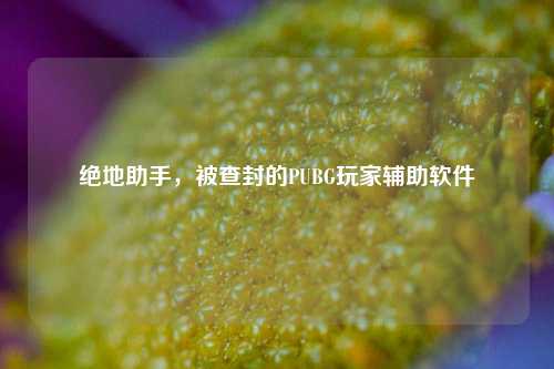 绝地助手,被查封的PUBG玩家辅助软件