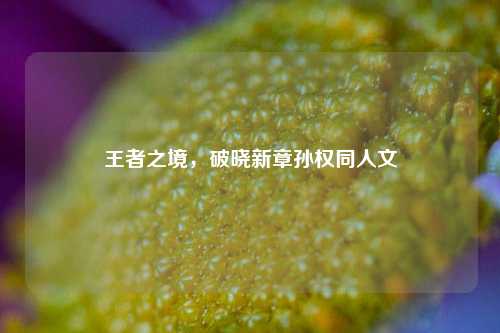 王者之境,破晓新章孙权同人文