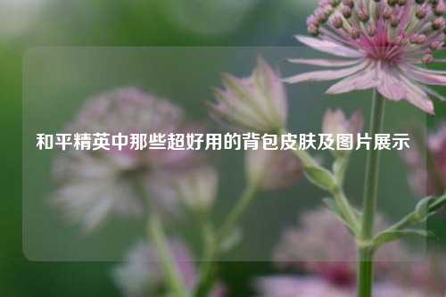 和平精英中那些超好用的背包皮肤及图片展示